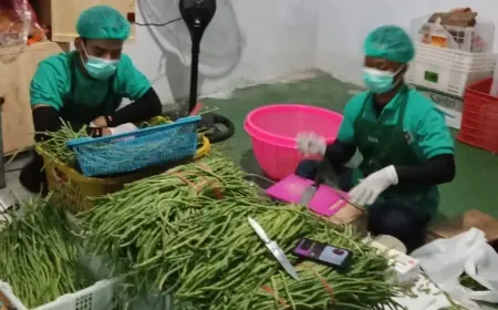 SPPG Suboh Buduan 1,  Hidupkan Ekonomi Desa dan Kurangi Pengangguran di Situbondo