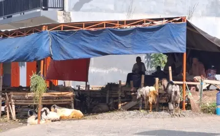 Data Final Cek Hewan Kurban, Ratusan Hewan Kurban di Lapak Musiman Kota Batu Dipastikan Sehat