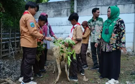 Siswa SDN Kedopok 1 Probolinggo Sisihkan Uang Saku untuk Kurban, Tanamkan Kepedulian Sejak Dini