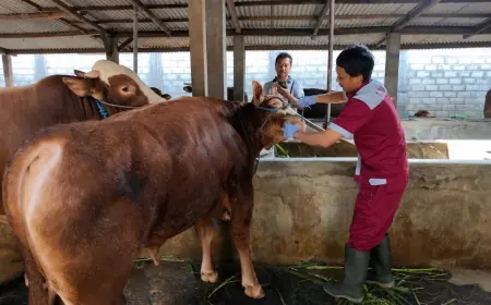 Pemkab Blitar Kerahkan 160 Petugas Awasi Hewan Kurban
