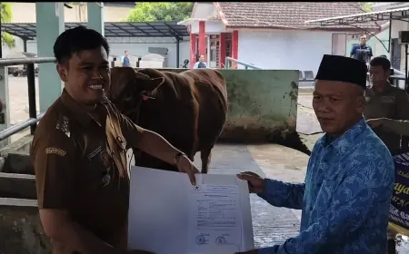 Sapi Kurban Raksasa dari Presiden Akan Dibagikan untuk Warga Kota Blitar