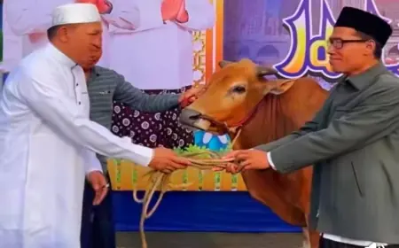 Sambut Iduladha, Pemkab Sampang Salurkan 41 Sapi dan 27 Kambing hingga ke Pelosok