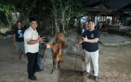 Iduladha 1447 H, Bupati Marhaen Djumadi Serahkan Bantuan Sapi Kurban di Desa Kampungbaru