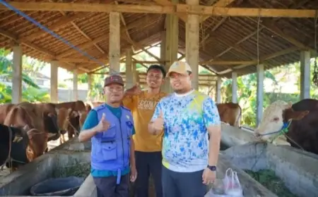 Ponpes Al-Ubaidah Nganjuk Targetkan Sembelih 98 Hewan Kurban, Terbanyak di Kecamatan