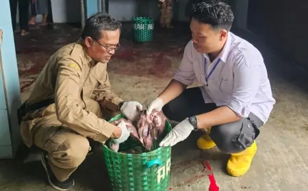 Diperta Kabupaten Probolinggo Temukan Dua Kasus Cacing Hati pada Sapi Kurban