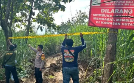 Ilegal Logging Kembali Terjadi di Hutan Lindung Jombang, Pelaku Kabur Tinggalkan Sembilan Motor