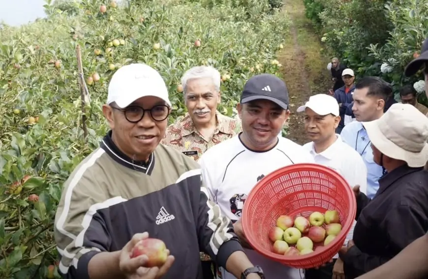 Apel Batu Bertahan di Titik Kritis