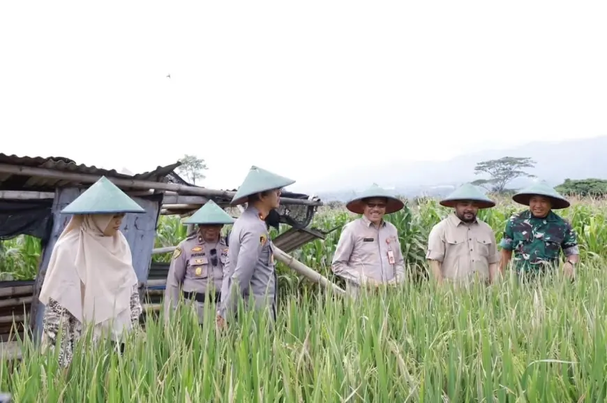 Batu Perketat LP2B, Selamatkan Hulu dan Sisa Lahan Produktif
