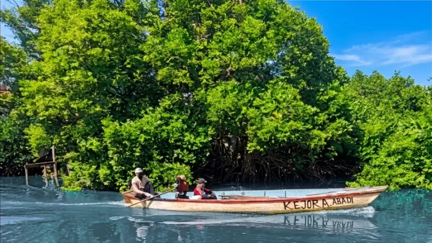 Asyiknya Susur Sungai Alam Curah Asmoro Sidoarjo, Melintasi Labirin Hijau di Ujung Sedati