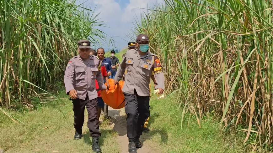 Lima Hari Hilang, Lansia di Tulungagung Ditemukan Tewas Membusuk di Kebun Tebu