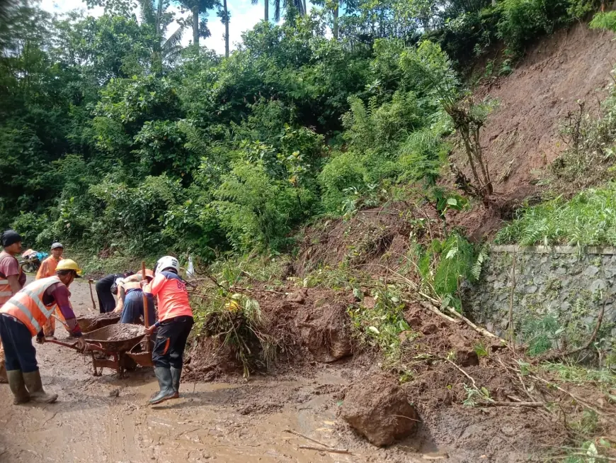 Sempat Menutup Jalur Malang-Lumajang, Longsor di Ampelgading Berhasil Ditangani