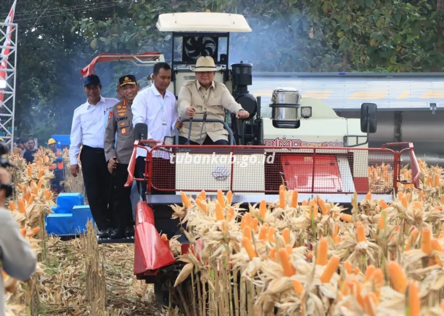 Presiden Prabowo Panen Jagung di Tuban, Tekankan Ketahanan Pangan sebagai Pilar Keamanan Negara