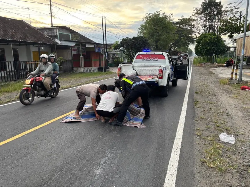 Pengendara Beat Tewas Tertabrak Brio di Blitar