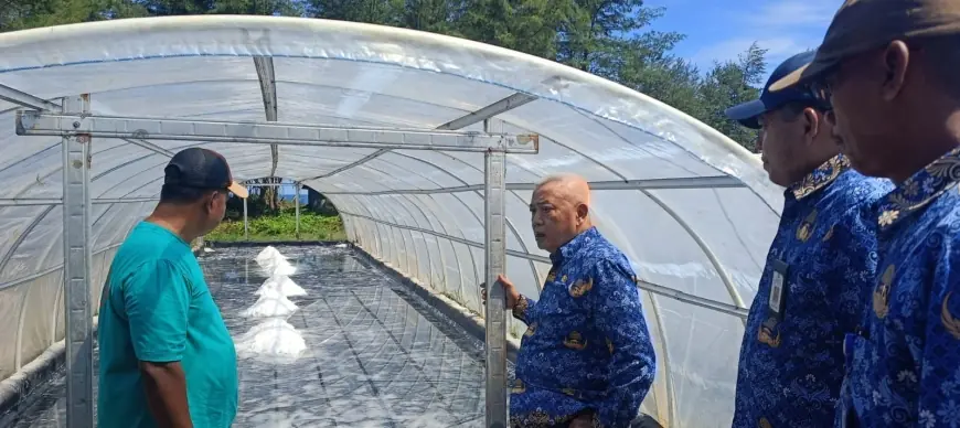 Produksi Garam Pantai Modangan Ludes Diserbu Pasar, Pemkab Malang Siapkan Tambahan Tunnel Baru