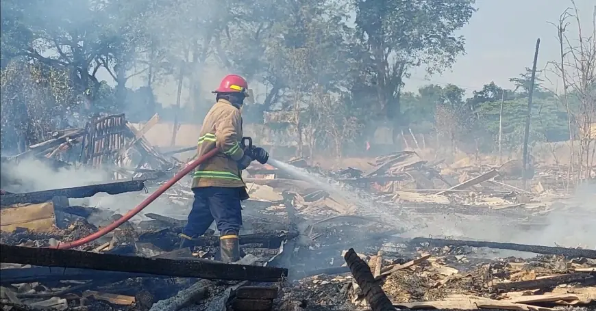 Peternakan Ayam di Dringu Probolinggo Terbakar, Pemilik Rugi Rp300 Juta