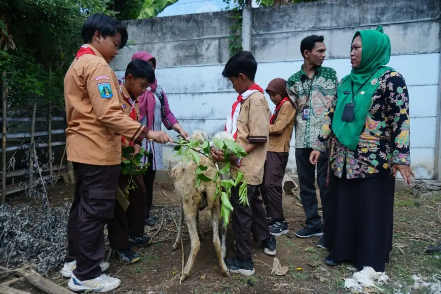 Siswa SDN Kedopok 1 Probolinggo Sisihkan Uang Saku untuk Kurban, Tanamkan Kepedulian Sejak Dini