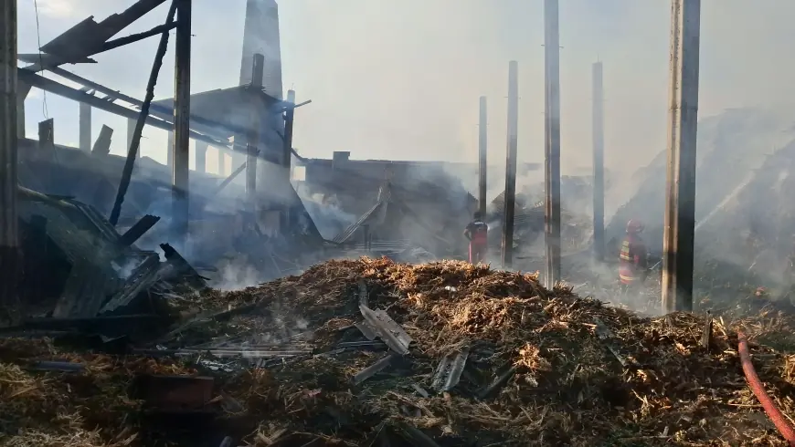 Pabrik Gula Tradisional di Tulungagung Terbakar, 2 Ton Gula Siap Jual Hangus