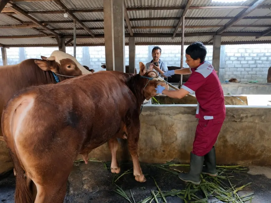 Pemkab Blitar Kerahkan 160 Petugas Awasi Hewan Kurban
