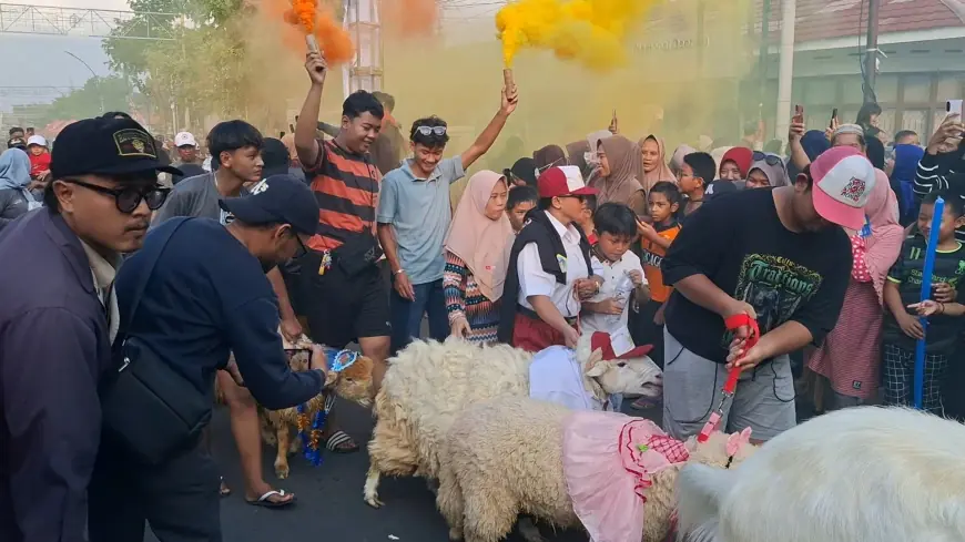 Meriah, 250 Ekor Kambing Ikuti Festival Kambing Kurban Grisse di Gresik