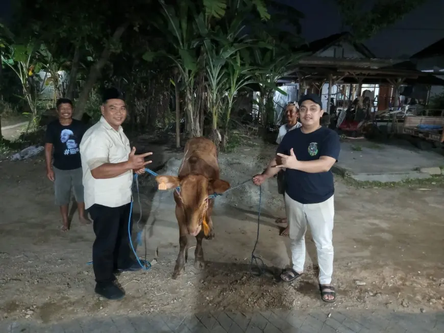 Iduladha 1447 H, Bupati Marhaen Djumadi Serahkan Bantuan Sapi Kurban di Desa Kampungbaru