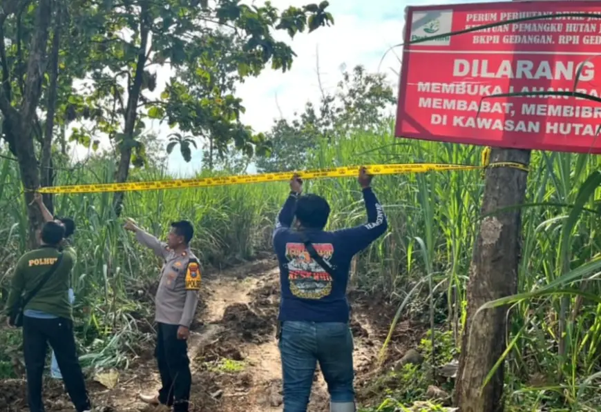 Ilegal Logging Kembali Terjadi di Hutan Lindung Jombang, Pelaku Kabur Tinggalkan Sembilan Motor