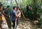 Pencari Kayu Bakar di Jember Temukan Kerangka Mayat di Bukit Tungu