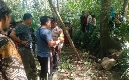 Pencari Kayu Bakar di Jember Temukan Kerangka Mayat di Bukit Tungu