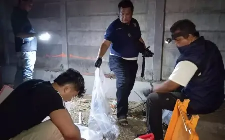 Bidan Dibunuh, Jasadnya Dibuang di Pantura Situbondo: Polisi Buru Orang Dekat Korban