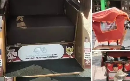 Viral di Lamongan, Becak Listrik Bantuan Presiden Prabowo Diduga Dijual di Medsos