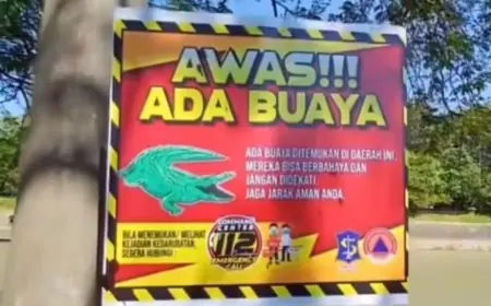 Buaya Muncul di Sungai Tengah Kota, BPBD Surabaya Imbau Warga Waspada