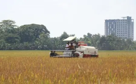 Sektor Pertanian Bojonegoro Geser Dominasi Migas
