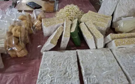 Pengrajin Tahu dan Tempe Terdampak oleh Melemahnya Rupiah, Pemerintah Kaji Pemberian Insentif