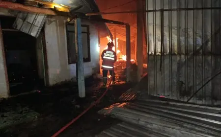 Bakar Sampah untuk Usir Nyamuk, Rumah dan Kandang Ternak di Tulungagung Ikut Terbakar
