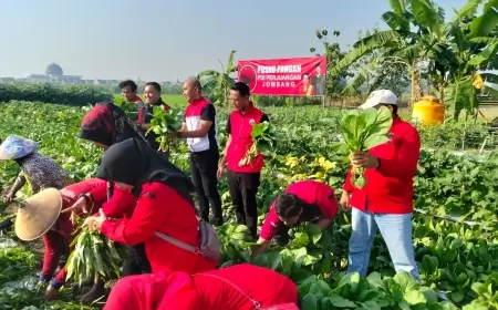 PDI Perjuangan Jombang Sulap Lahan Jadi Sumber Pangan dan Gizi Warga