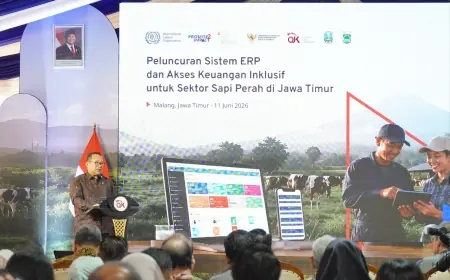 Dobrak Asimetri Informasi, OJK dan ILO Luncurkan Sistem ERP untuk Dorong Pembiayaan Digital Peternak Sapi Perah