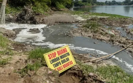 Tim Tiga Roda Sungai dan Ecoton Bongkar Temuan Limbah Industri di Mojokerto