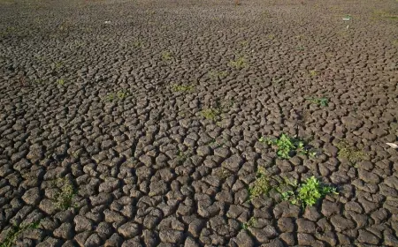 Ancaman El Nino Bertahan hingga 2027, BMKG Wanti-wanti Krisis Air dan Pangan Mulai Agustus Ini
