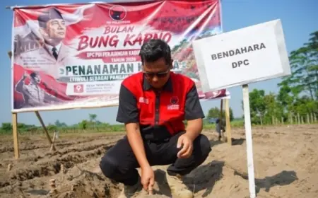 Jaga Sumber Pangan Lokal, PDI Perjuangan Kabupaten Kediri Turun Ke Lahan Tanam Ketela