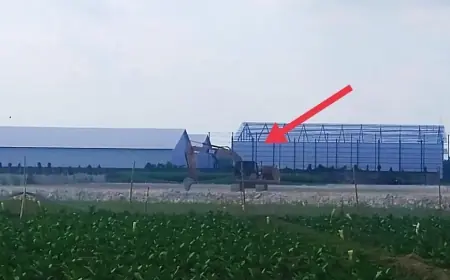 Diduga Alih Fungsi Lahan Pertanian, Petani Jambearum Jember Protes Perluasan Gudang