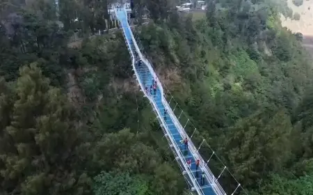 Uji Adrenalin di Atas Awan: Jembatan Kaca Bromo Jadi Magnet Baru Libur Sekolah