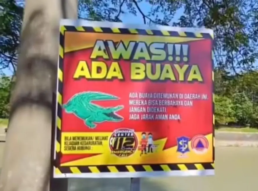 Buaya Muncul di Sungai Tengah Kota, BPBD Surabaya Imbau Warga Waspada
