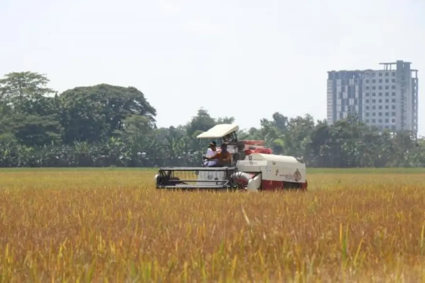 Sektor Pertanian Bojonegoro Geser Dominasi Migas