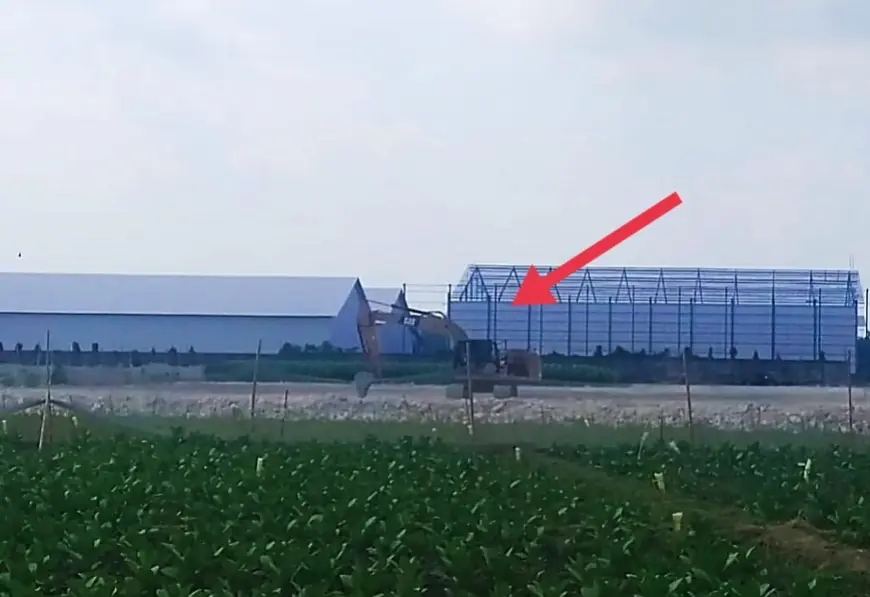 Diduga Alih Fungsi Lahan Pertanian, Petani Jambearum Jember Protes Perluasan Gudang