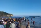 Sedekah Laut 15 Suro di Pantai Pasir Panjang Malang Jaga Warisan Budaya Pesisir