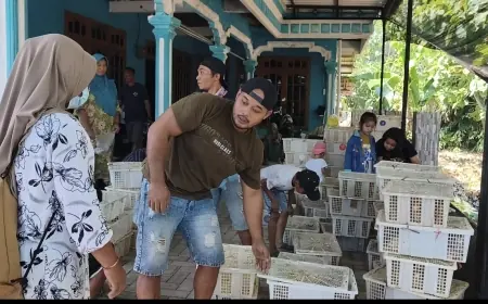 Viral Bagi-Bagi Ayam dan Puyuh Gratis di Selopuro, Warga Sempat Mengira Hoaks
