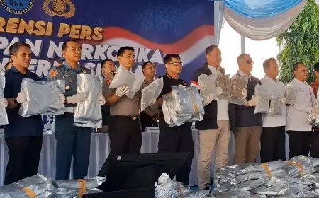 Penyelundupam Kuncup Bunga Ganja Thailand, BNN Sita Lebih dari 3 Ton di Gudang Gresik