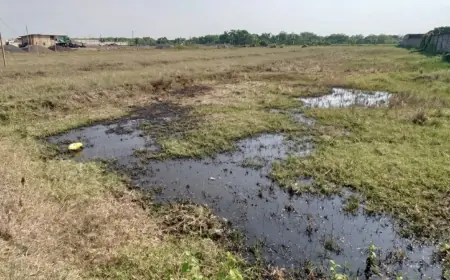 PT Enero Mojokerto Buang 13 Tangki Limbah ke Sawah Warga
