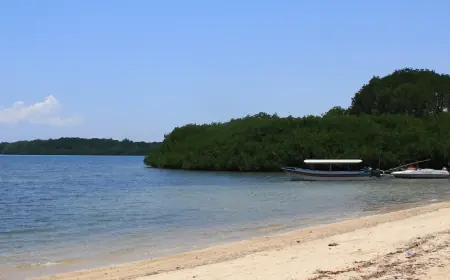 Menjelajahi Pantai Bama Banyuwangi, Surga Pasir Putih di Ujung Savana Baluran