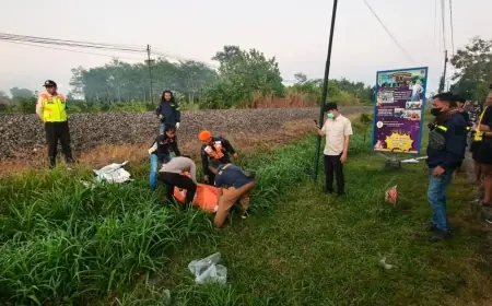 Pria Asal Blitar Tewas Tertemper KA Brawijaya di Rejotangan, Sempat Diperingatkan Petugas Perlintasan