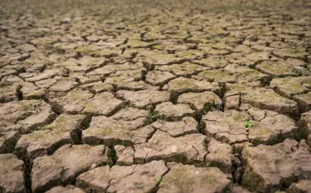 Antisipasi Dampak Musim Kemarau, Pemkab Kediri Perkuat Koordinasi Dengan PLN dan Pertamina